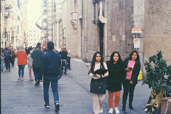 How do UK sports academies nurture emerging talent?