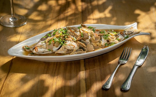 How do you create infographics and visual presentations to explain complex concepts ?